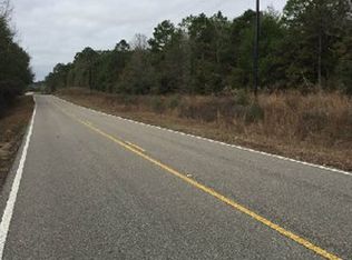 1742 Lower Curtis Rd, Elba, AL 36323