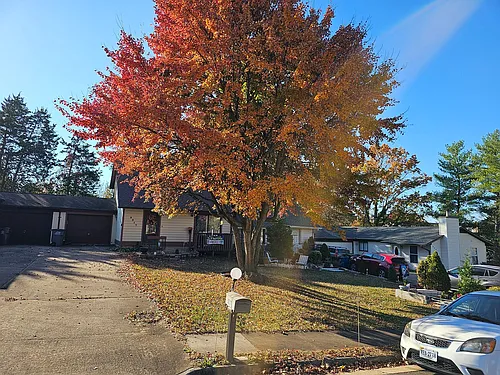 9217 Easton Ct Photo 1