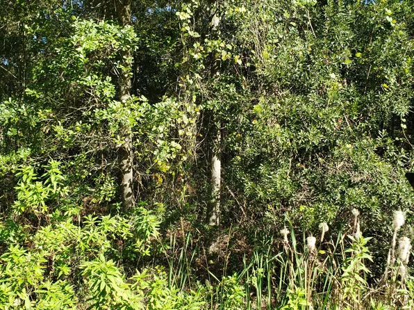 0 LOTS 25 & 26 INTERLACHEN LAKES, Interlachen, FL 32148