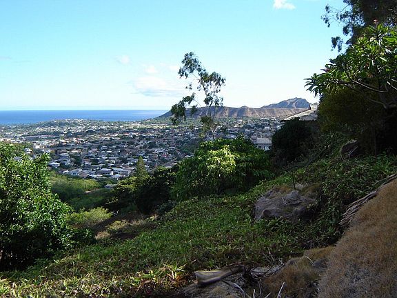 View from lower garden