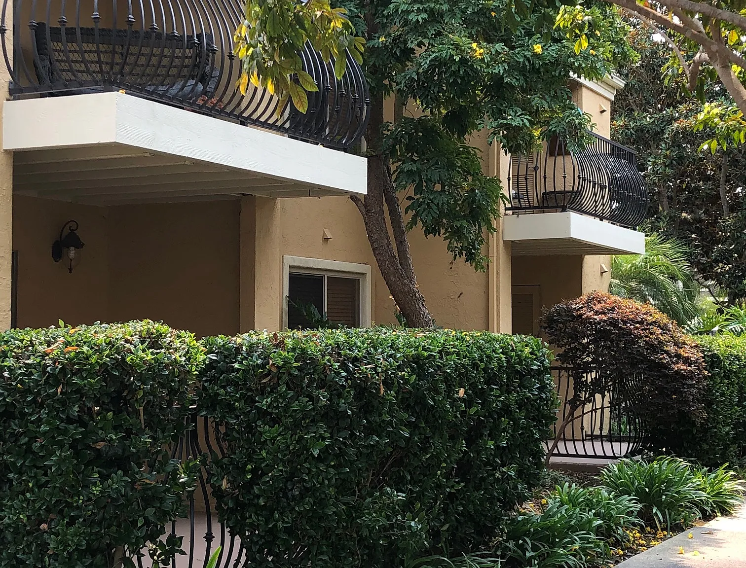 1 bed, $2,590 — Photo 2