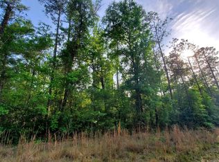 SW Texas Ln LOT 42-44, Fort White, FL 32038
