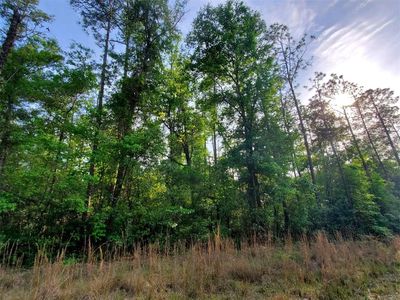 SW Texas Ln LOT 42-44, Fort White, FL, 32038