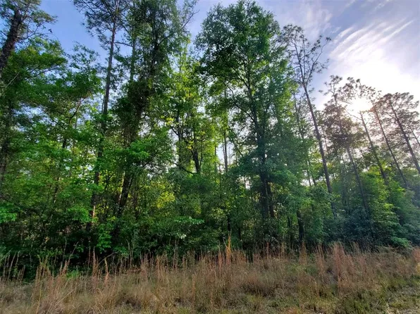 SW Texas Ln Lot 42-44, Fort White, FL 32038