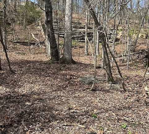 4th image of LOT 161 Hickory Dr