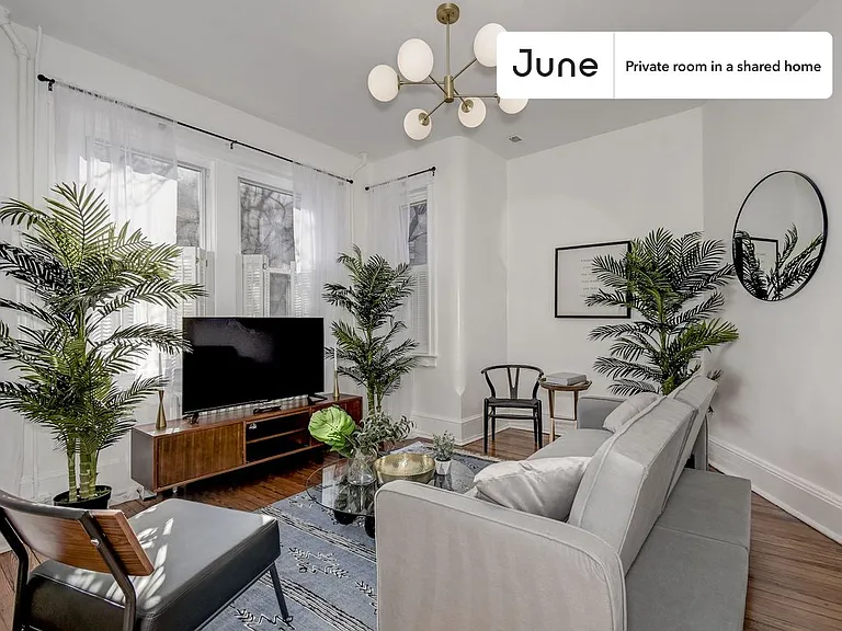922 I St SE #2B — Photo 4
