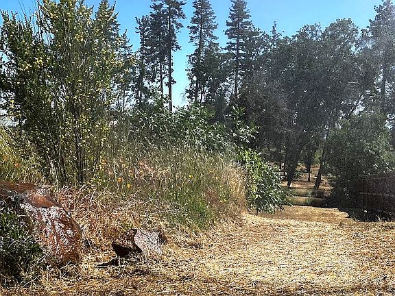 2nd image of 1318 Pearson Rd