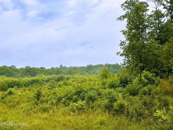 13.44 Chestnut Ridge Rd, Allardt, TN 38504