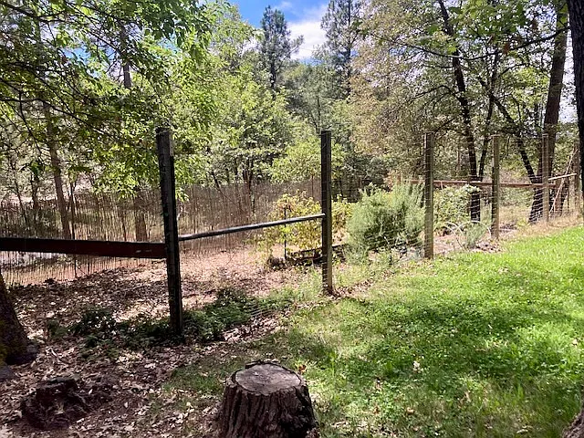 Fenced garden.