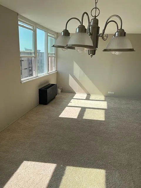 1 bed, 800 sqft, $1,000 — Photo 2