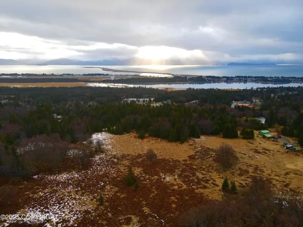 4602 Alm Ln, Homer, AK 99603