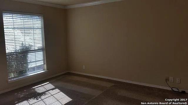9846 Dawn Trl — Photo 13