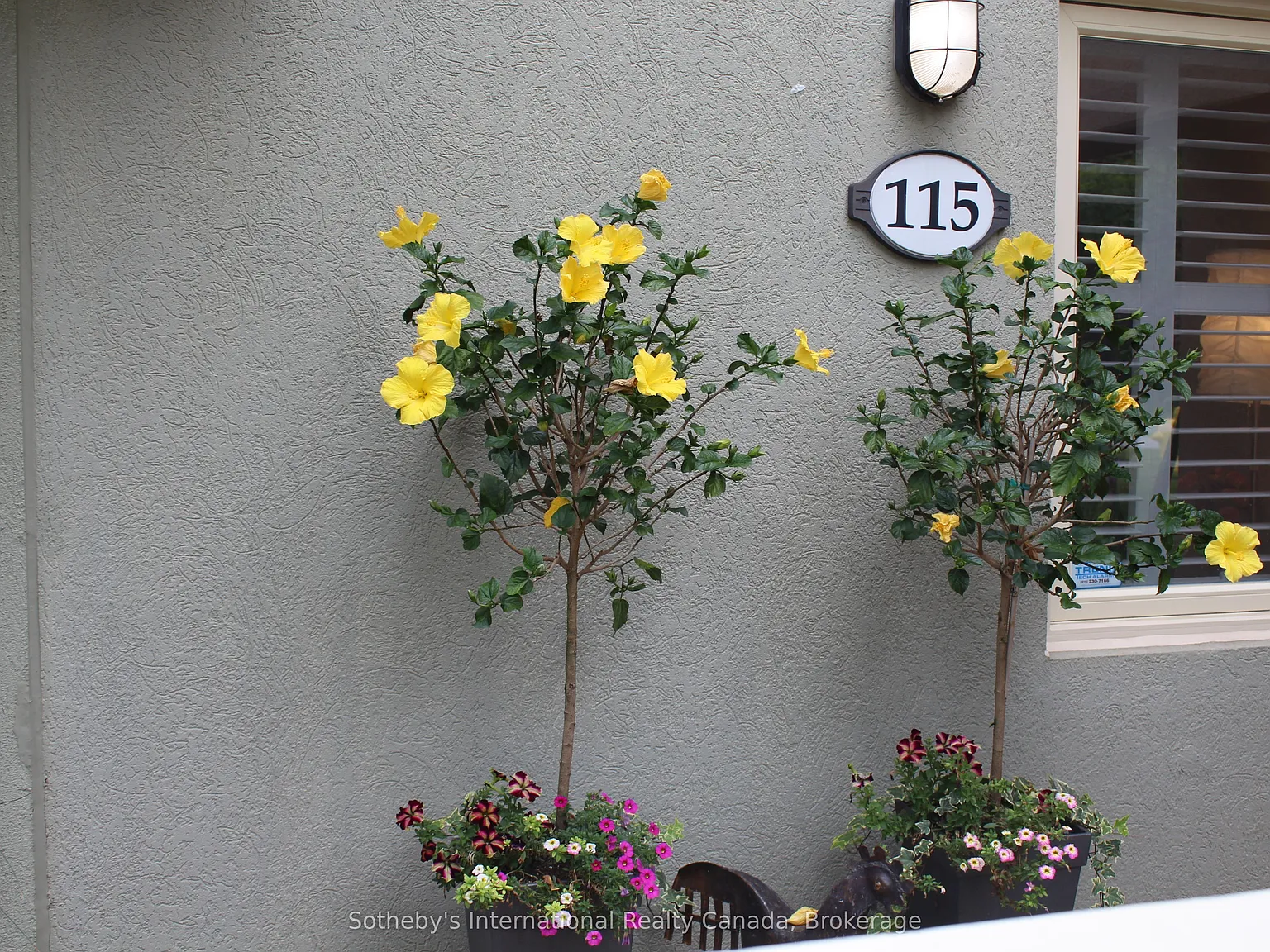 3 bed, $16,000 — Photo 3