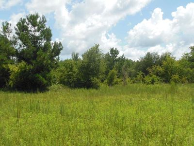 Tbd N Cr 51, Jasper, FL, 32052