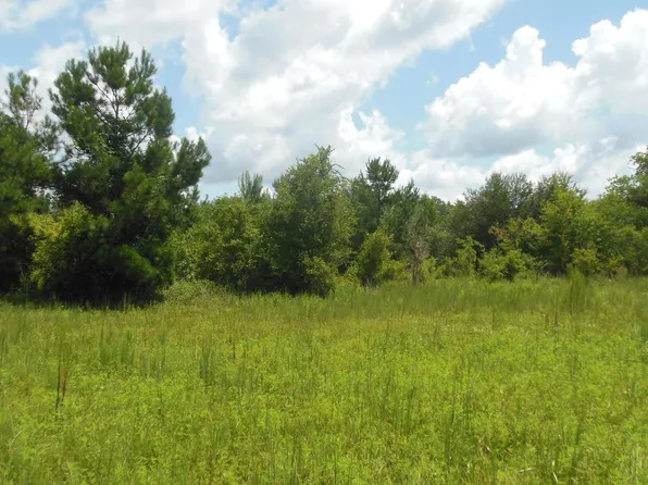 Tbd N Cr 51, Jasper, FL 32052