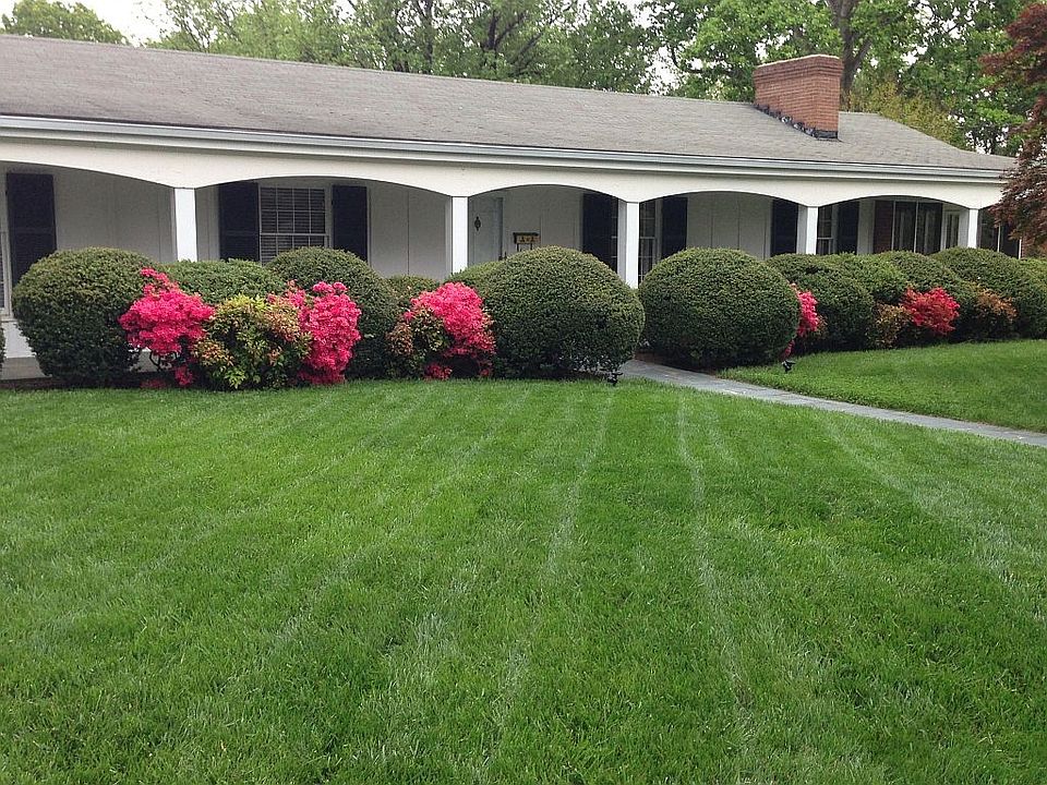 1st image of 3118 Tomaranne Dr