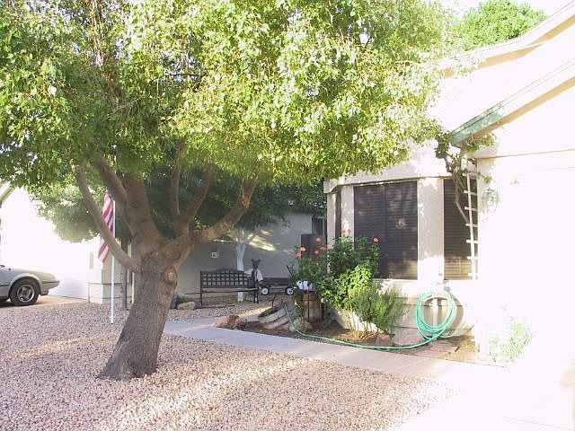 Front yard