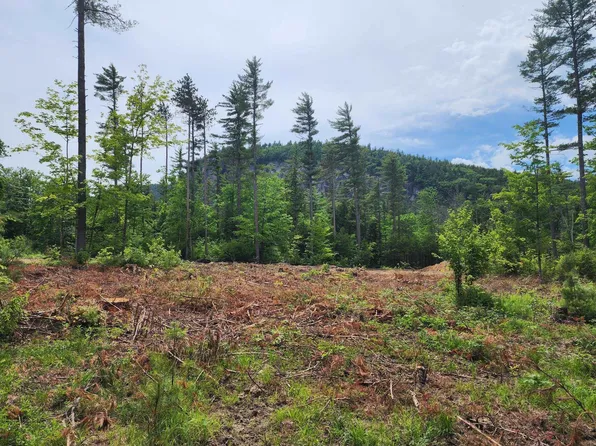 5 Lucy Brook Road, Conway, NH 03860