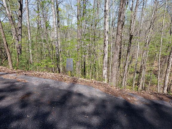 3rd image of 0 Laurel Woods