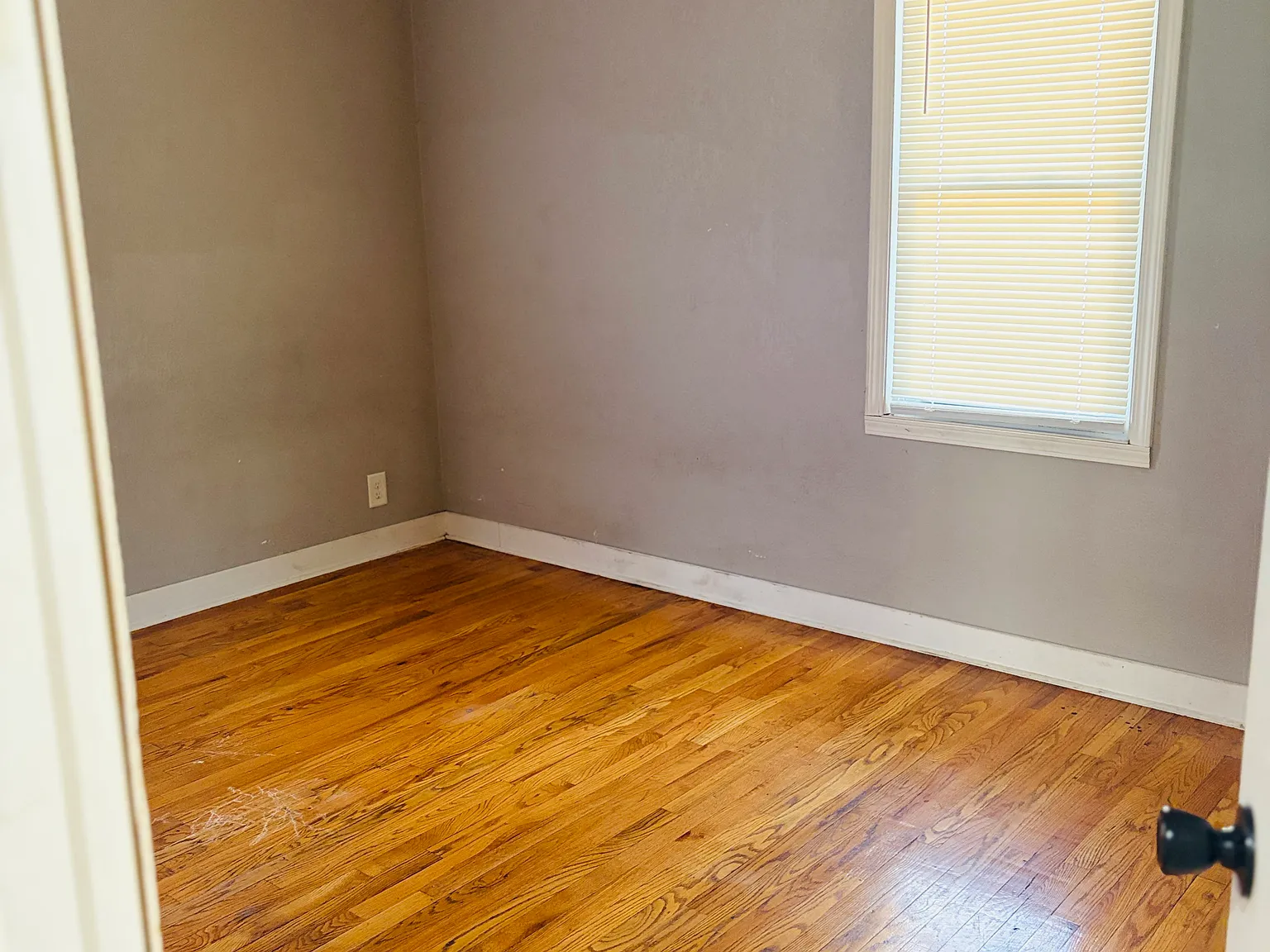 2 bed, 1904 sqft, $1,250 — Photo 2