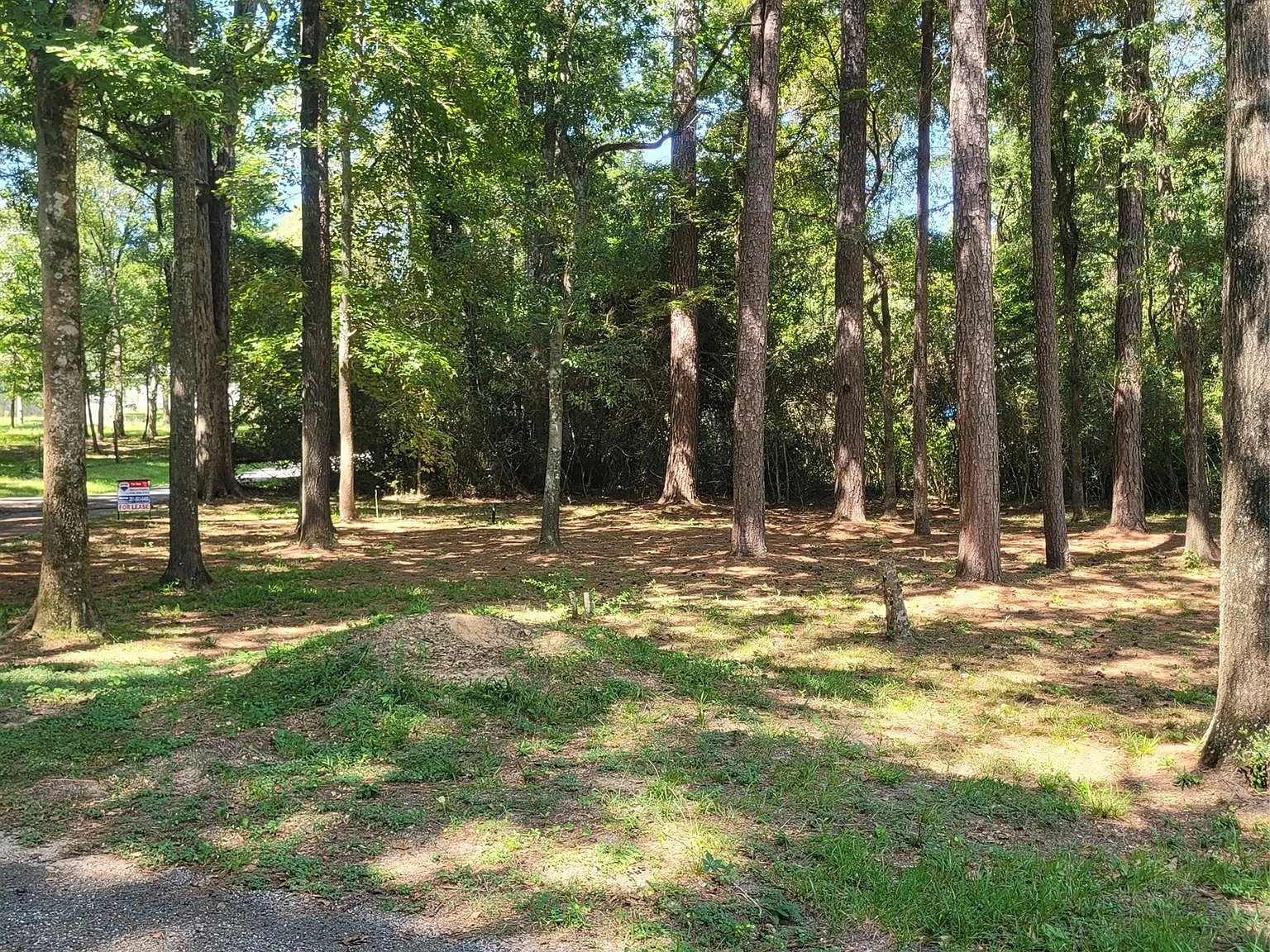 4 bed, 2.0 bath, 2028 sqft, $2,300 — Photo 4