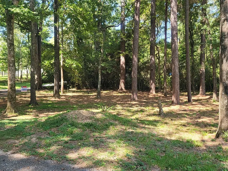 4 Sarah Lynn Ln — Photo 4