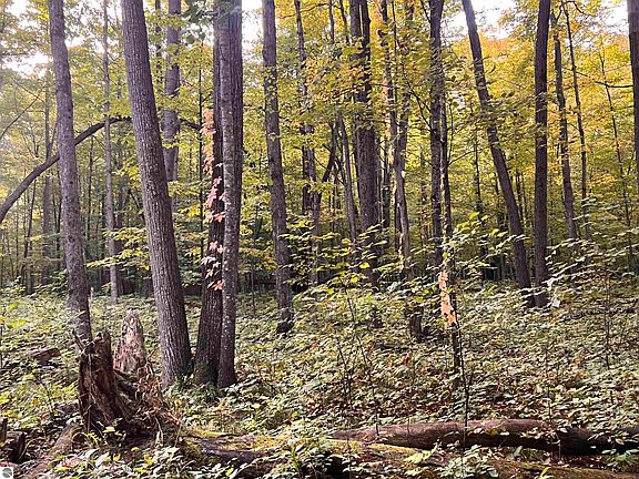 5th image of LOT 71 Birch View Trl