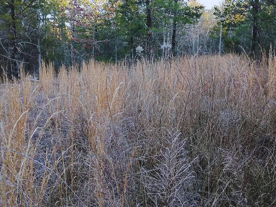 1st image of Panola