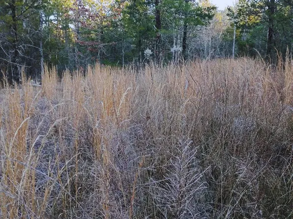 Panola, Panola, OK 74559