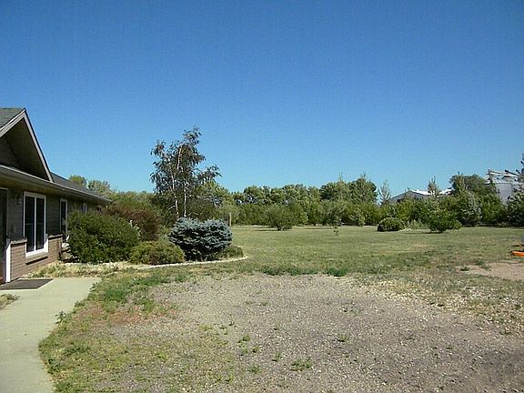 Established trees