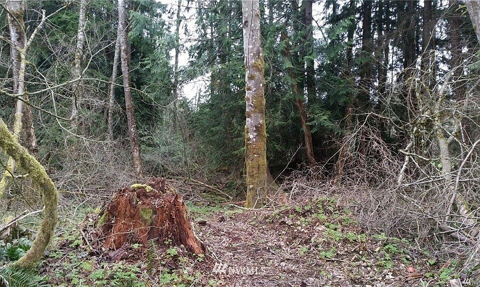 2nd image of 11722 160th St E