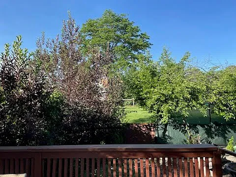 View from seating area, at the end of the large porch, out onto the greenbelt. Hottub cedar walkway to the right, down a few stairs, in the fenced yard.