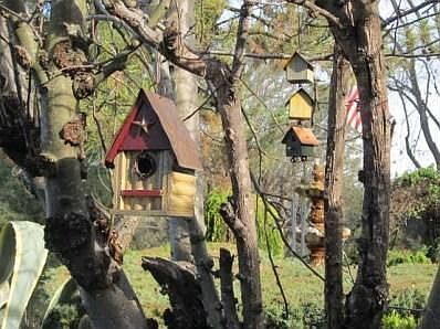 5th image of 865 Eldorado Dr