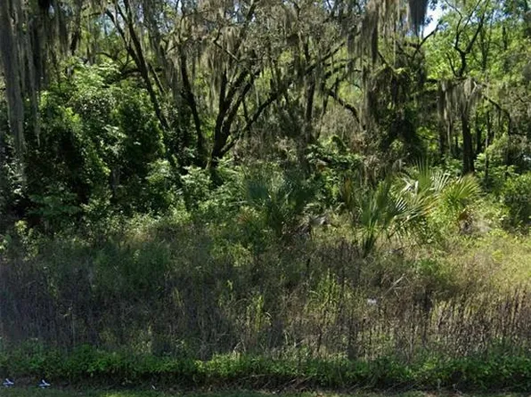 TBD NW MARTIN LUTHER KING JR AVE AVENUE LOT 17, OCALA, FL 34475