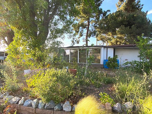 Front yard, recently trimmed back.