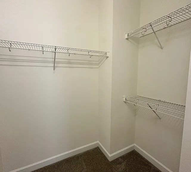 4206 Perserverance Ct — Photo 15