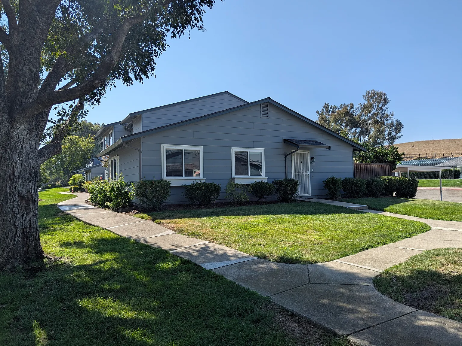 3 bed, 900 sqft, $3,150 — Photo 1