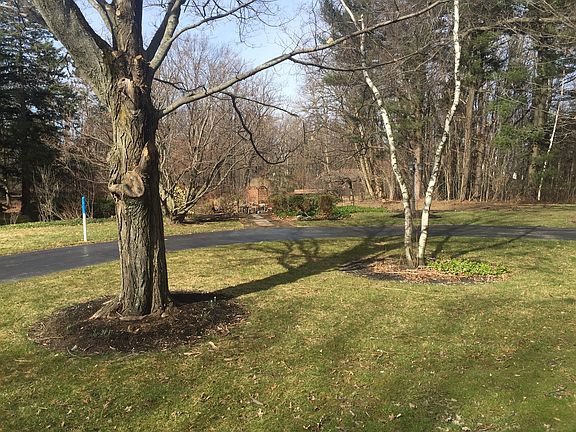 2nd image of 1 Cherry Tree Ln