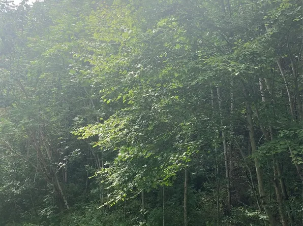 147 W Splitrail Dr #5, Hendersonville, NC 28792