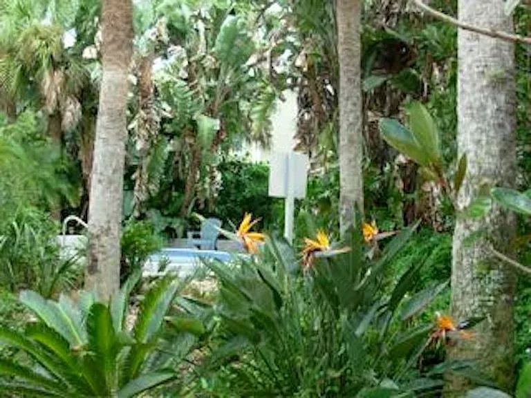 Pool area