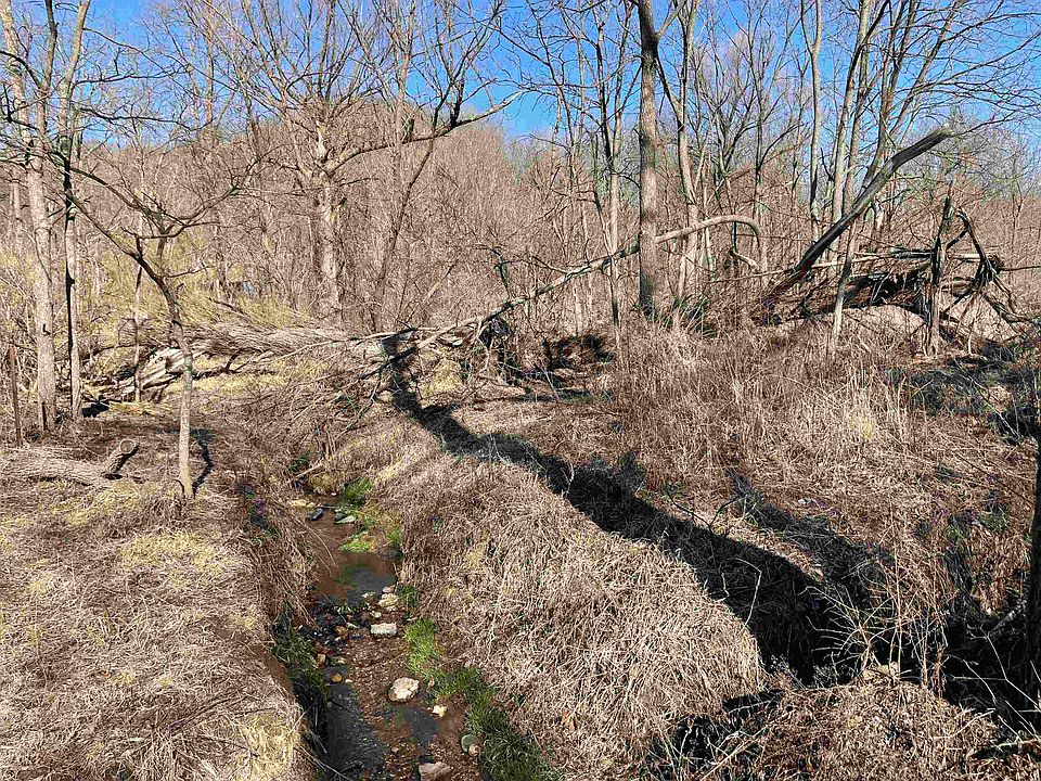 2nd image of Walnut Ln