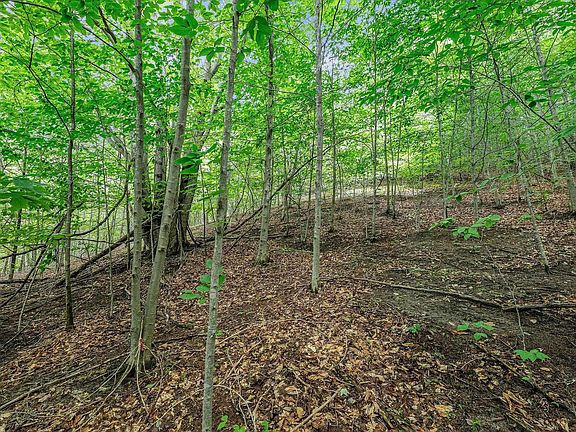 3rd image of LOT 42 Mountain Woods Dr