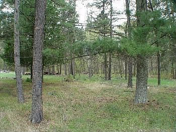 2nd image of 34561 County Road 3