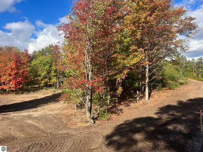 PARCEL W Trumbull Rd #F, Maple City, MI, 49664