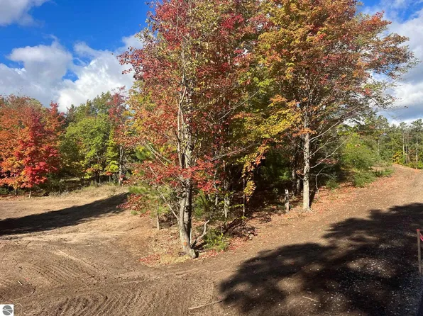 PARCEL W Trumbull Rd #F, Maple City, MI 49664