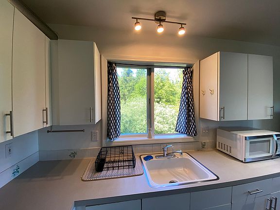 Kitchen window with forest view above sink