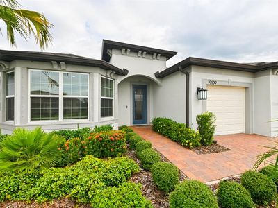 19109 Ship Wheel Way, Land O Lakes, FL, 34638