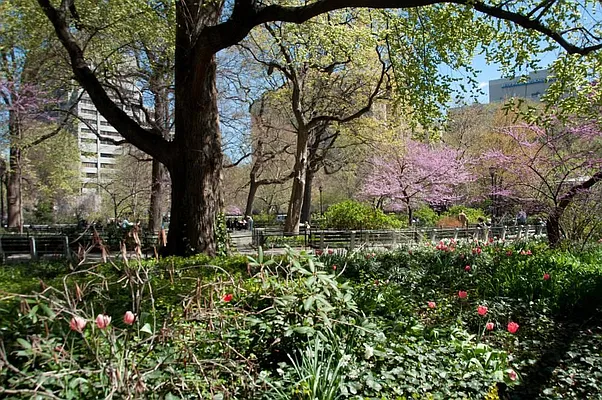 Rented by Town Residential | media 53