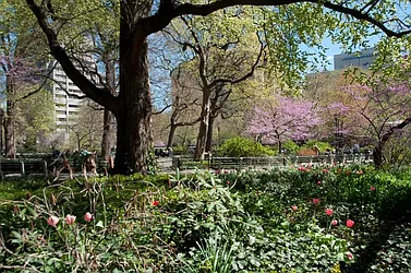 Rented by Town Residential