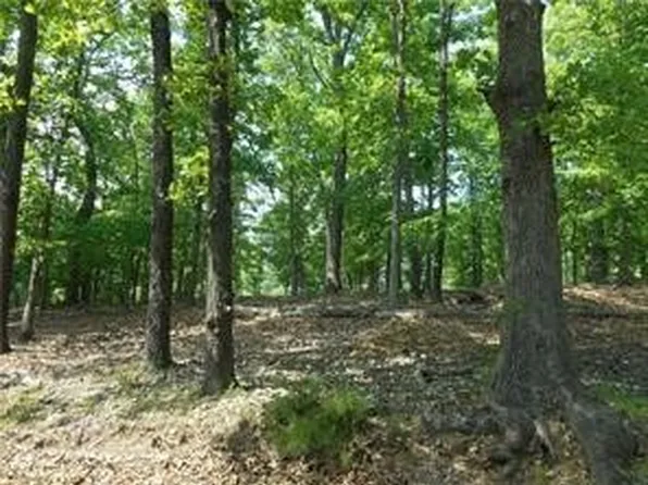 County Rd #1520, Eureka Springs, AR 72632